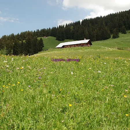 Peaks Leysin